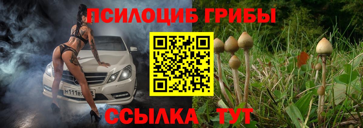 Псилоцибиновые грибы прущие грибы  Вход с VPN  что такое   Алушта 